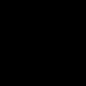 Meet your Posher, Malik